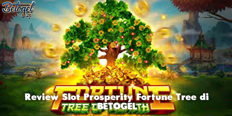 Review Slot Prosperity Fortune Tree di BETOGEL